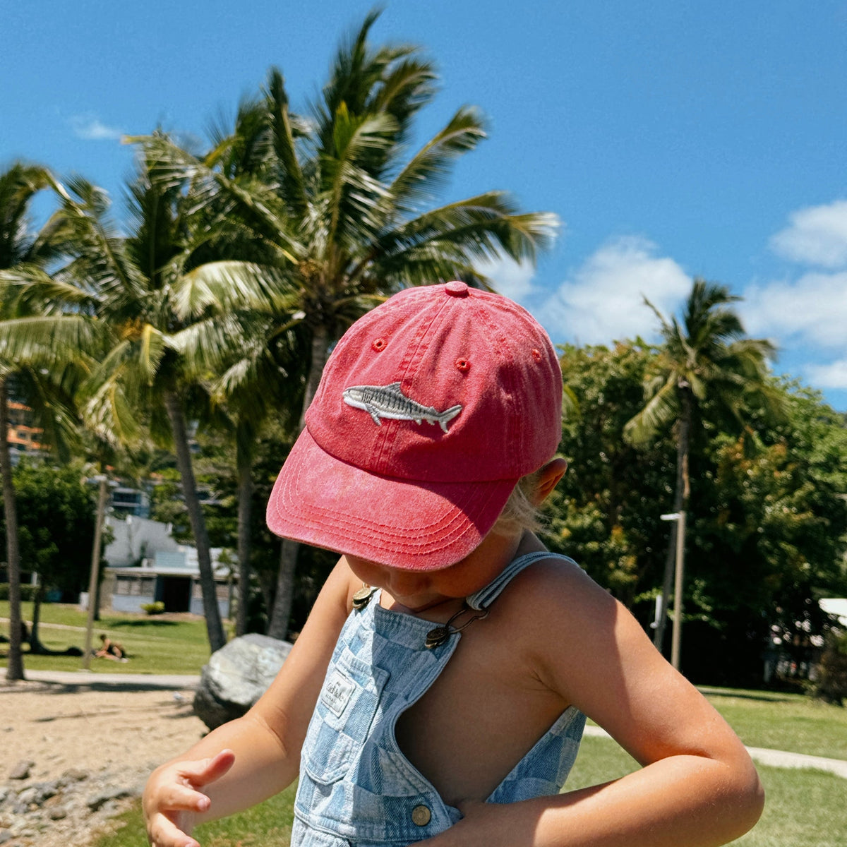 PALLION PT — KIDS LIDS | TIGER SHARK