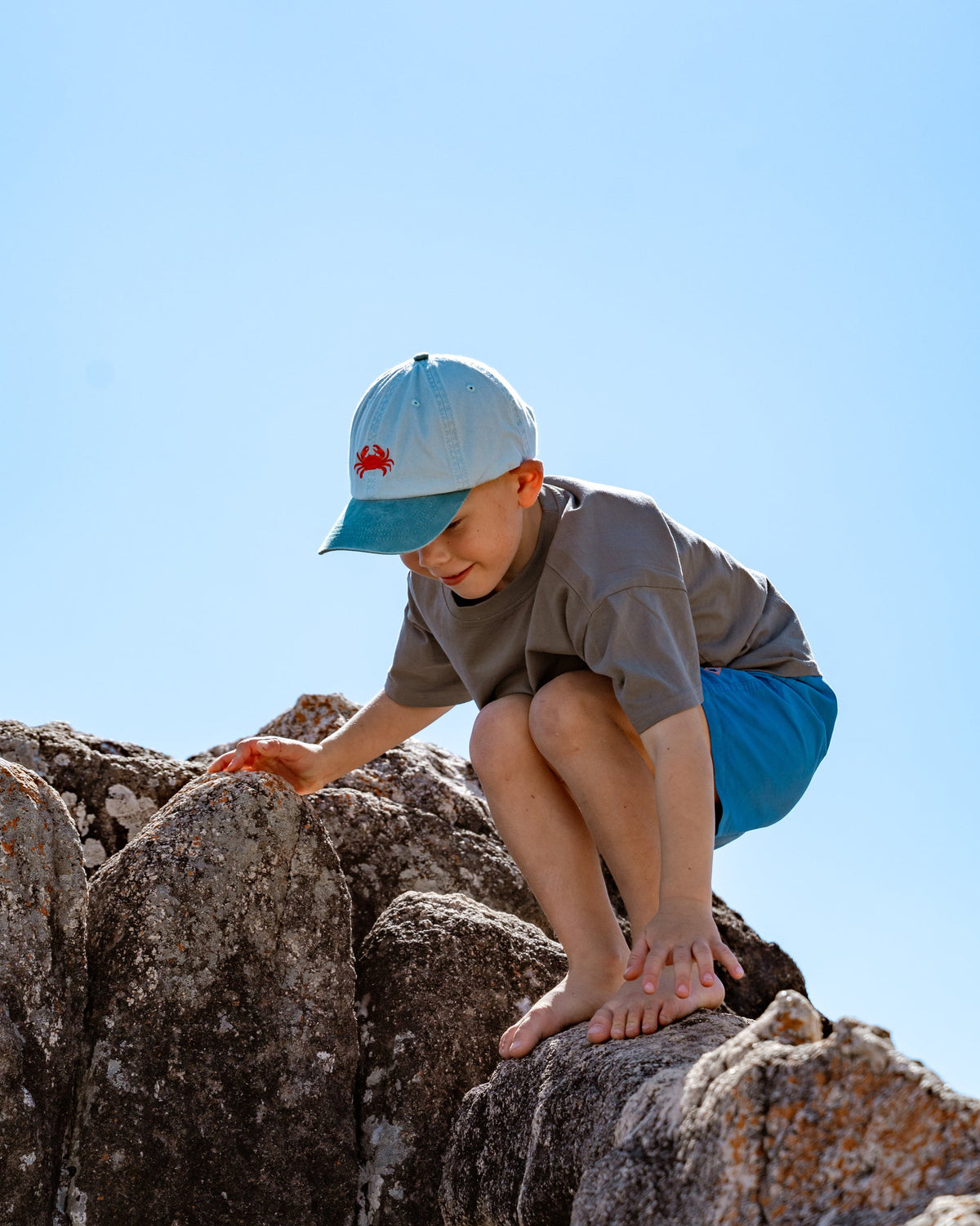 PALLION PT — KIDS LIDS | CRAB