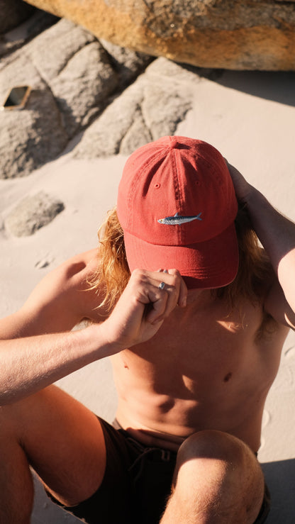 PALLION PT — FISH LIDS | SARDINE