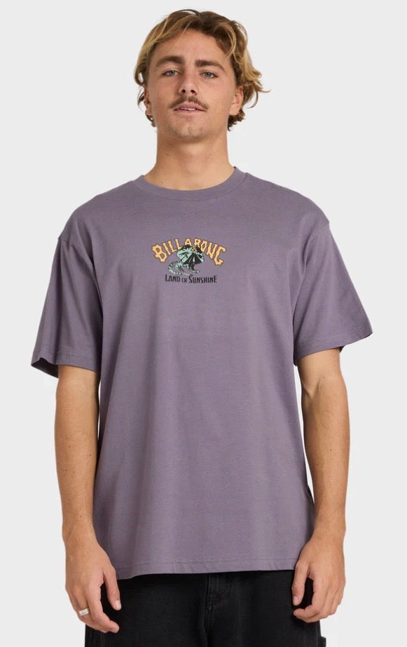 BILLABONG - PURPLE HAZE MENS TEE