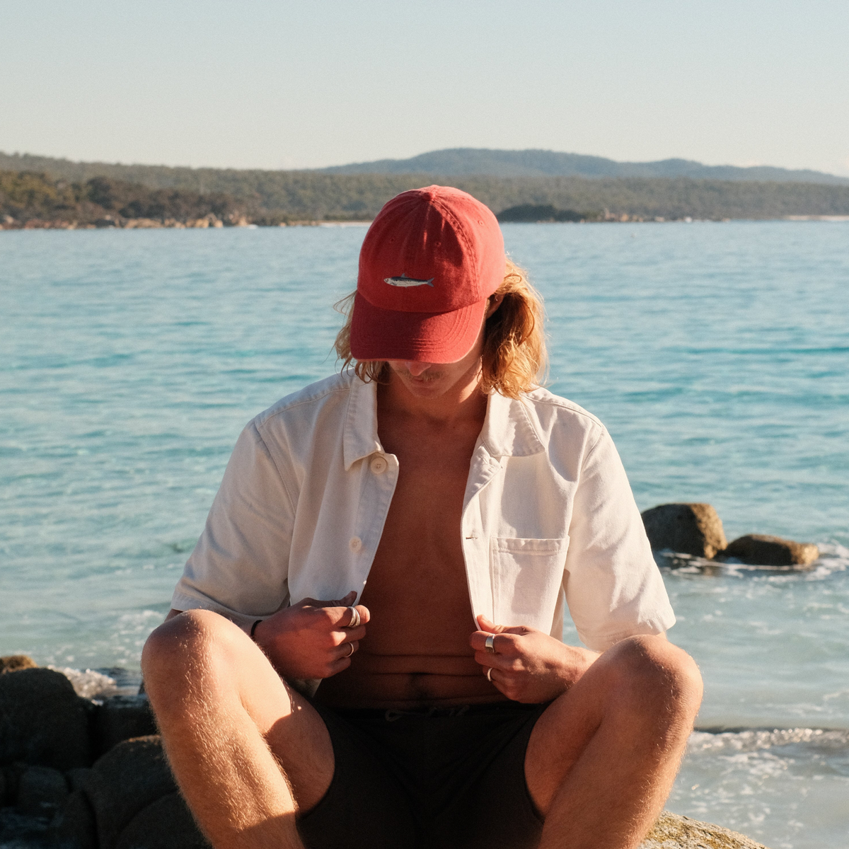 PALLION PT — FISH LIDS | SARDINE