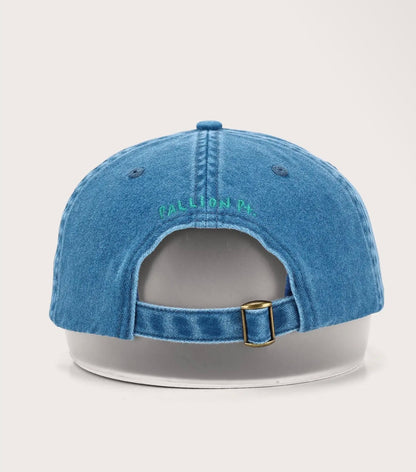 PALLION PT — FISH LIDS, BLUEBONE