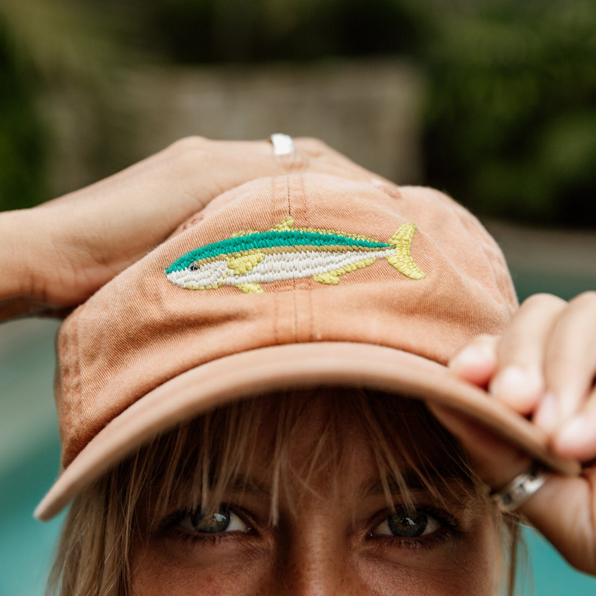 PALLION PT — FISH LIDS | KINGFISH