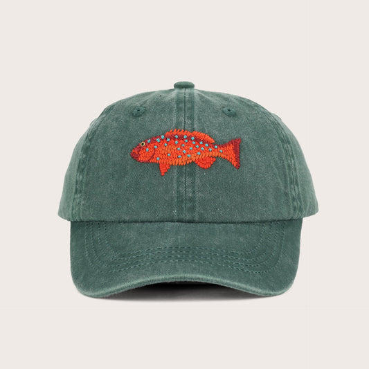 PALLION PT — KIDS LIDS, CORAL TROUT