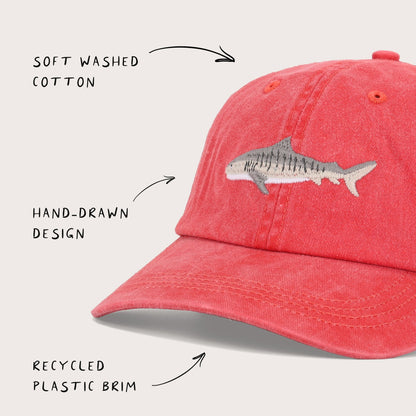 PALLION PT — FISH LIDS, TIGER SHARK