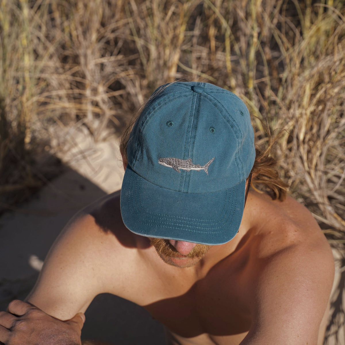 PALLION PT — FISH LIDS, WHALE SHARK